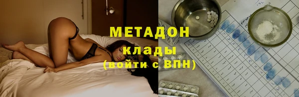 прущие грибы Волосово