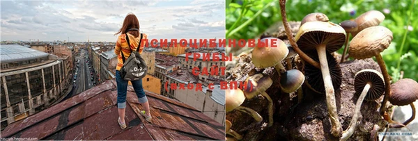 MDMA Premium VHQ Краснослободск
