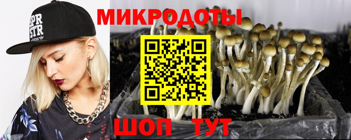 Псилоцибиновые грибы Magic Shrooms Рубцовск
