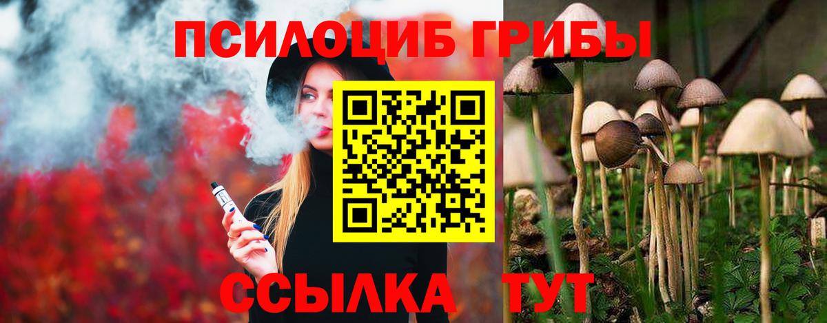 Галлюциногенные грибы Psilocybe  Вход с VPN  Рубцовск 