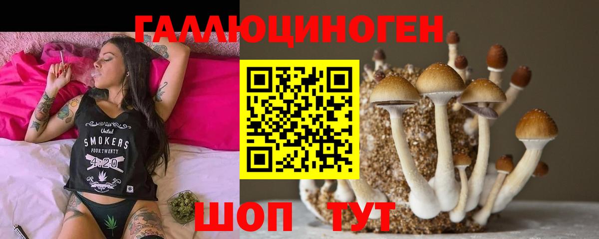 Галлюциногенные грибы мухоморы Рубцовск